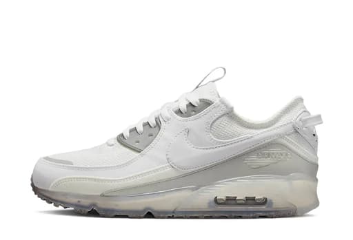 Nike SB Air Max 90 Terrascape White Grey (2022)